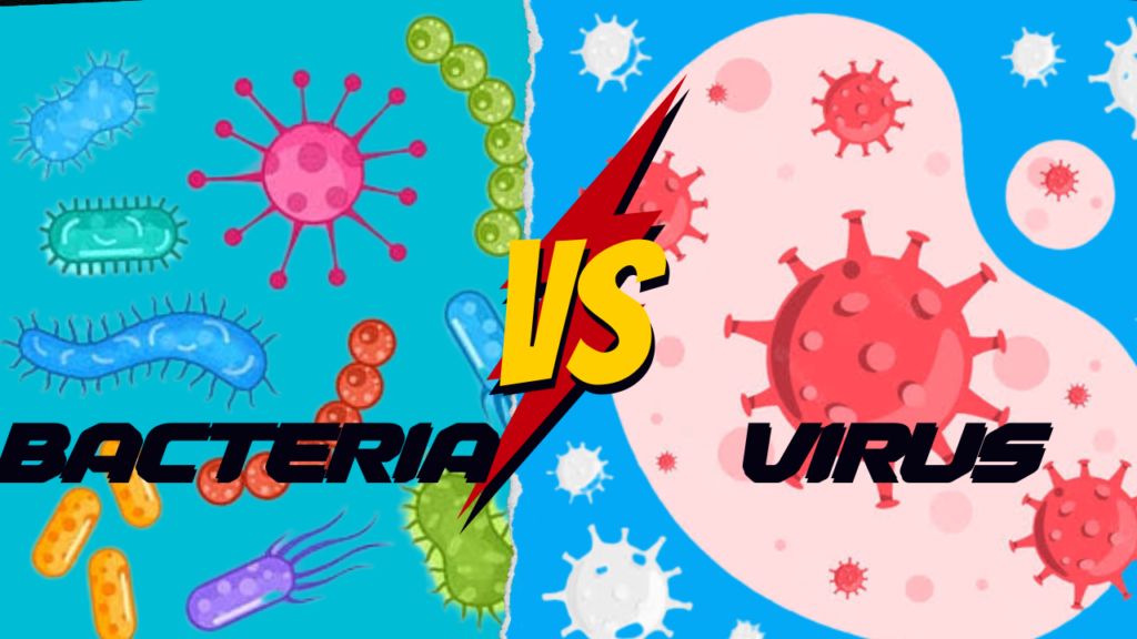 VIRUS ND BACTERIA